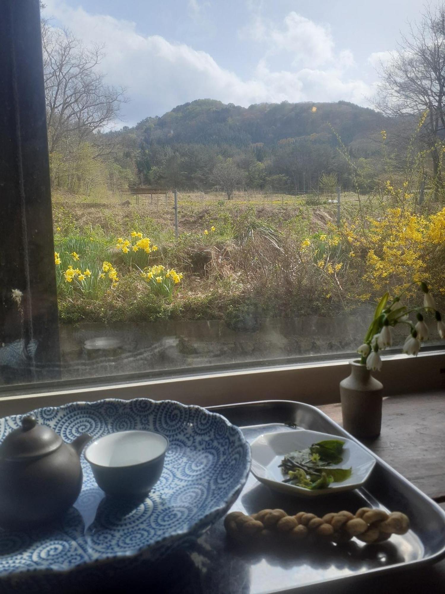 Tanehachi Farm Guesthouse - Vacation Stay 29709V Aomori Dış mekan fotoğraf
